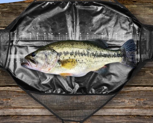 Estera de desenganche de pesca - Fishing Bag Waterproof reseña y precio